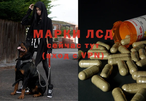 каннабис Белокуриха