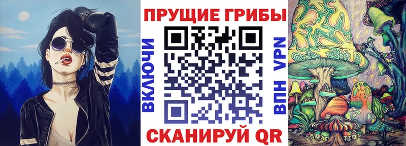 Псилоцибиновые грибы GOLDEN TEACHER  сколько стоит  Нея 